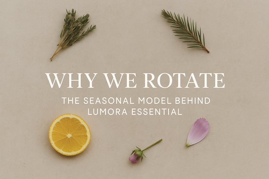 Seasonal Model
